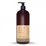 Re'idra (therapy) Color Care-Vitae shampoo 1000ml