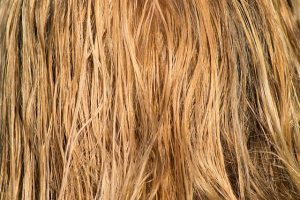 hair-3419148_640